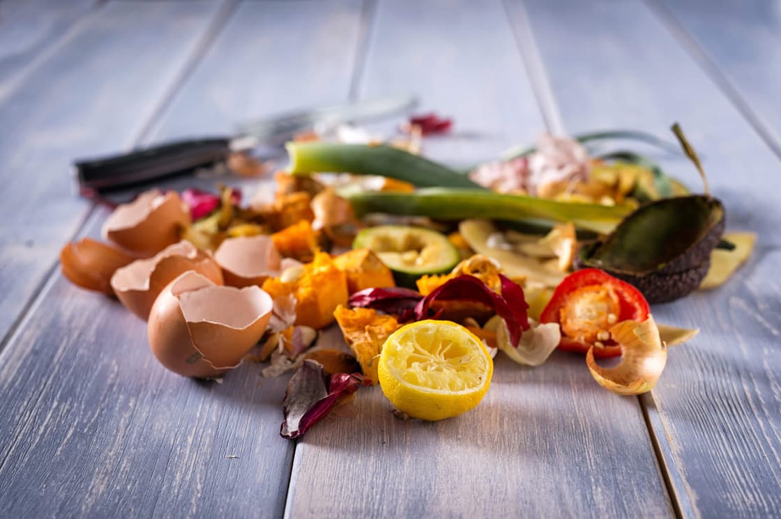 Empire to lead food waste-to-hydrogen project for ARCH2
