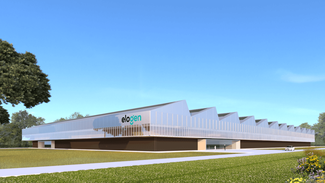 Elogen CEO resigns as company halts electrolyser gigafactory construction