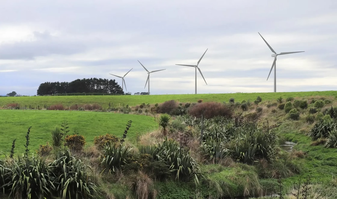 Hiringa reaches financial close on 5MW green hydrogen plant in New Zealand