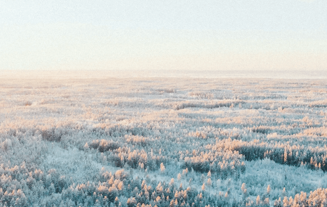 ETFuels secures €118.6m Finnish tax break for e-methanol plant