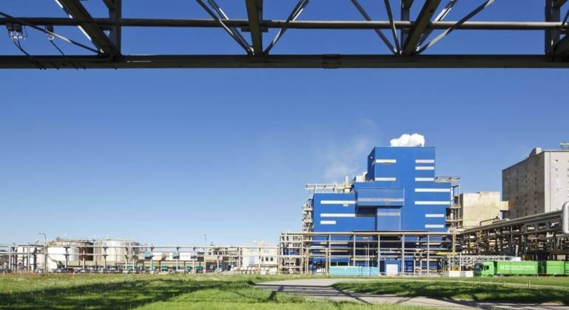 BASF to supply hydrogen-based ammonia to OCI’s Geleen fertiliser plant