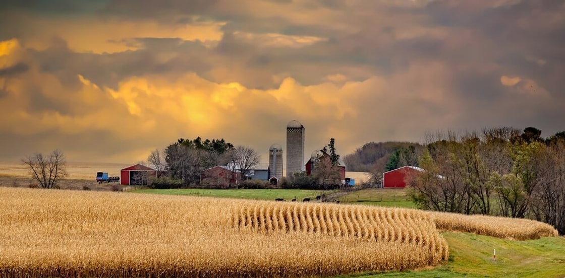 CF low-carbon ammonia used in US corn-to-ethanol supply chain