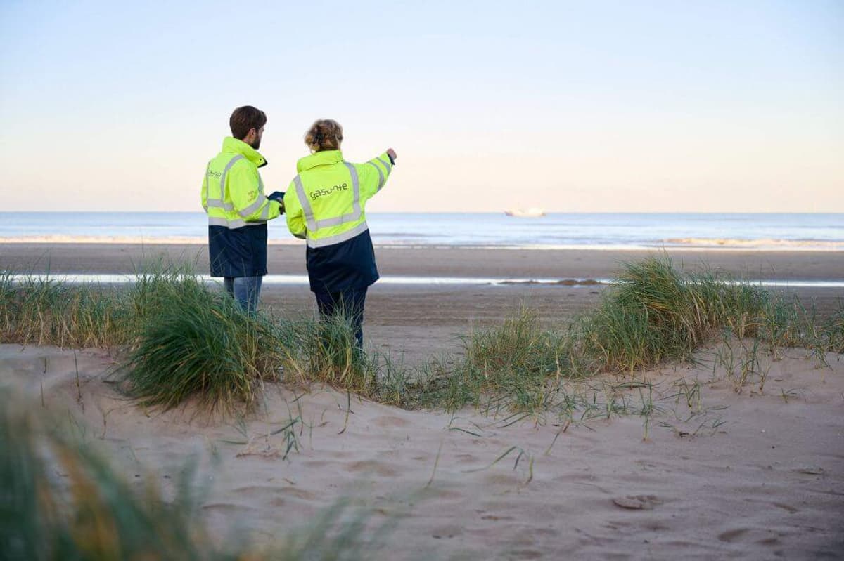 Repurposing Offshore Pipelines for Hydrogen Transport in the Netherlands