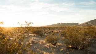 Cadiz expands Mojave Desert hydrogen plans with Hoku Energy agreement