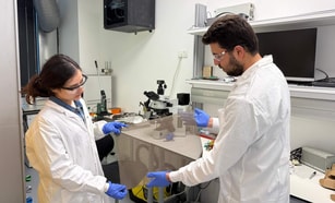 Cutting green hydrogen costs by putting electrons in order