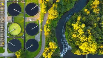 Singapore researchers convert sewage sludge into hydrogen and animal feed