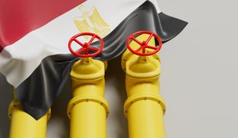 Egyptian fertiliser major to switch to hydrogen amid natural gas shortage