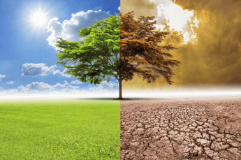 Exclusive: Global climate race must be a team sport