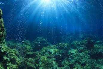 Lhyfe is exploring ocean reoxygenation from offshore green hydrogen production by-product