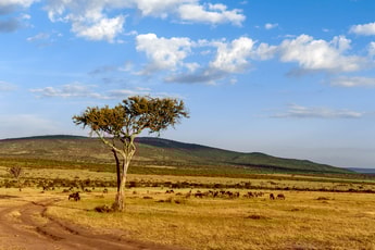 Five reasons hydrogen has to happen in Africa… and five clear signs that it is