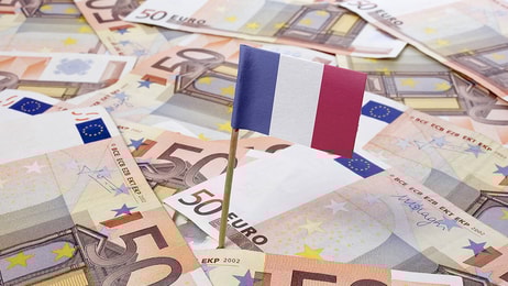 france flag and euros