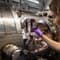 Rolls-Royce and easyJet achieve hydrogen aviation breakthrough in collaboration with Loughborough University