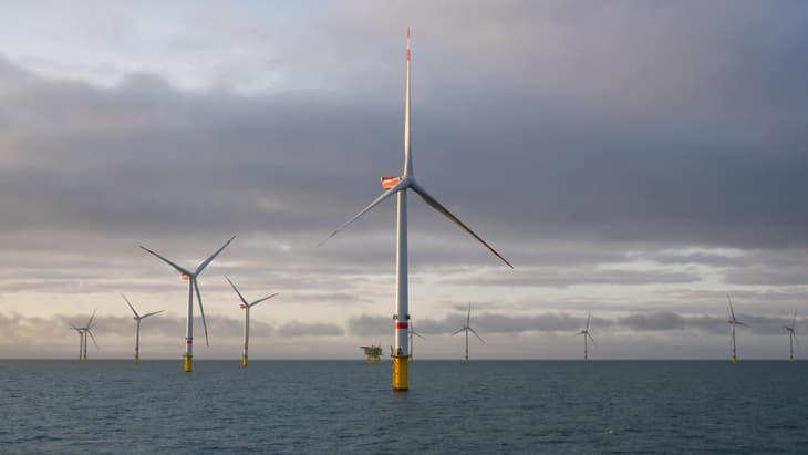 WFO launches committee focused on offshore wind to hydrogen