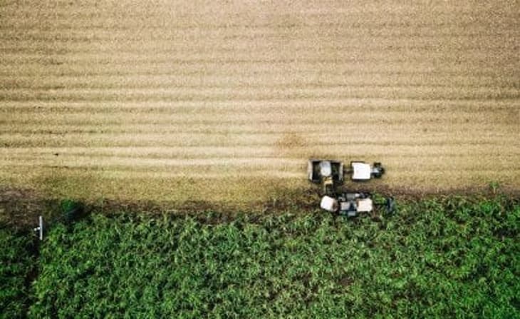 Queensland University investigating producing hydrogen from sugarcane for under $3/kg