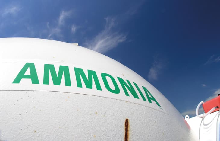 Casale looks to Elcogen SOEC for green hydrogen-based ammonia plants