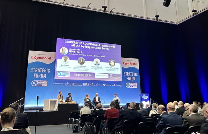Germany faces uphill task to build 9GW of hydrogen capacity by 2030, experts warn