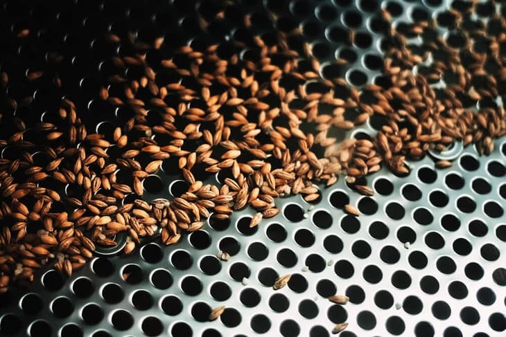 Green hydrogen is a viable solution for decarbonising malt production, says Protium