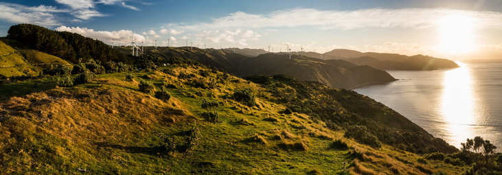 Q&A: New Zealand’s hydrogen opportunity and Hiringa Energy’s role in it