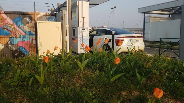Springtime at Air Liquide hydrogen station