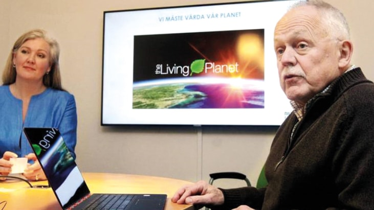 A pioneer who turned passion into business: An interview with Nilsson Energy