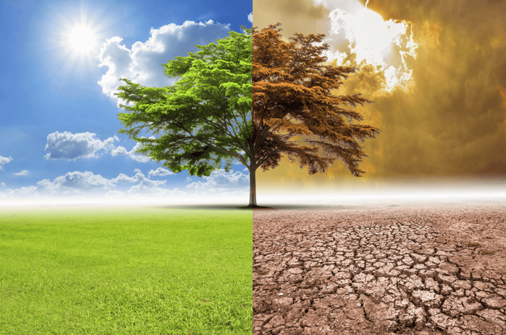 Exclusive: Global climate race must be a team sport