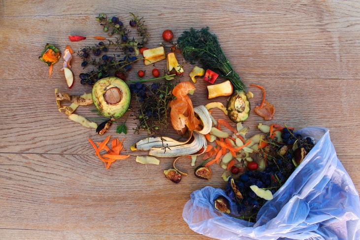 Electro-Active Technologies’ pilot waste-to-hydrogen project receives $1m funding from the DOE