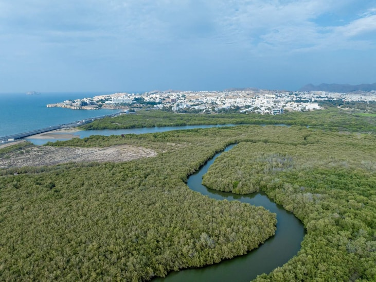 Oman to set up Net Zero Centre