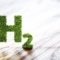 Renewable Hydrogen Alliance appoints new Executive Director