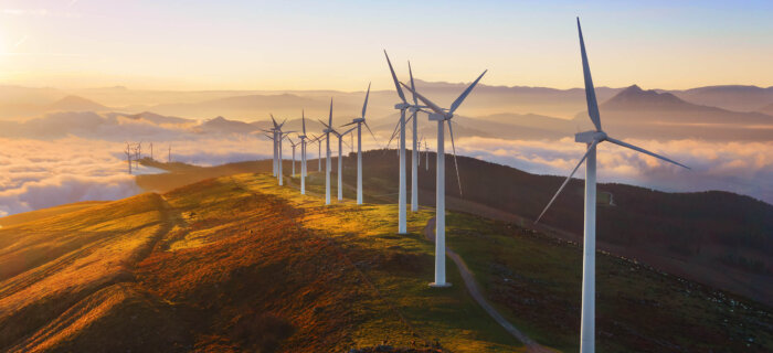 Hydrogen storage, electrolysers and fuel cells